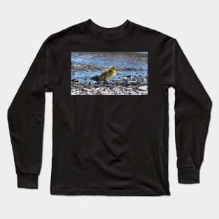 Gosling Walking Along The Water Long Sleeve T-Shirt